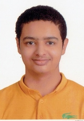 حسن محمد اسماعيل محمود